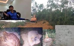 Giao đất cho Chủ tịch xã, rừng phòng hộ bị "hạ sát" ở Vĩnh Phúc: Dấu hiệu lập hồ sơ khống