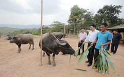 Đổi thay thấy rõ ở các vùng “lõi nghèo” của đất nước nhờ Chỉ thị số 40 của Ban Bí thư