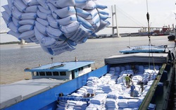 EU công bố hạn ngạch nhập khẩu nông sản và gạo Việt Nam