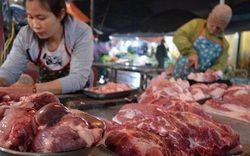 Choáng: Hơn 54% mẫu thịt lợn, gà tại Hà Nội, Hà Nam ô nhiễm vi sinh vật