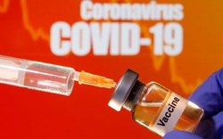 Vắc xin Covid-19 của Pfizer-BioNTech có kháng được biến chủng virus Ấn Độ không?
