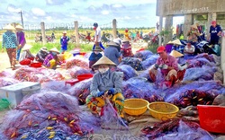 Mưu sinh ven biển - Bài 2: “Đó là duyên, bởi ai đã đi biển rồi thì khó bỏ nghề lắm"