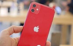 iPhone 11 giảm giá mạnh, liệu có nên mua bây giờ?