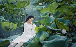 Ca sĩ Hoa Trần hóa tiên nữ vườn sen, cố tình "biến hình" bài hát của Hoài Lâm