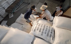 Hạn ngạch xuất khẩu gạo vào EU không quá 80.000 tấn/năm