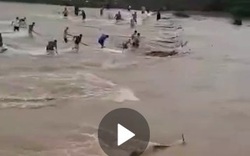 Video: Hồ chứa xả lũ, dân làng TQ đổ xô bắt cá khủng giữa biển nước cuồn cuộn