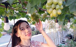Hot girl Sài thành chia sẻ kinh nghiệm trồng nho trên sân thượng thu hoạch mỏi tay