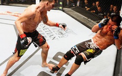 MMA - võ đài hung bạo (Kỳ 3): Lê Cung giã từ sàn đấu