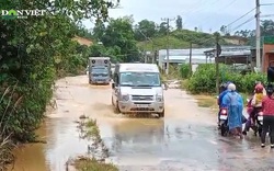Lâm Đồng: Mưa lớn, nhiều tuyến đường ngập trong nước lũ