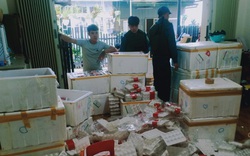 Lâm Đồng: Lại kịp thời phát hiện 370kg dâu tây Trung Quốc chuẩn bị "tuồn" ra chợ Đà Lạt
