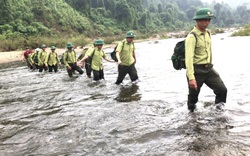 Quảng Nam: Lập lực lượng bảo vệ rừng chuyên trách, ngày đêm canh giữ lá phổi xanh