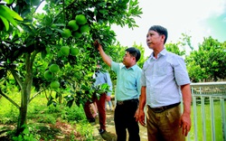 TP.Hà Giang hoàn thành xây dựng nông thôn mới, thu nhâp bình quân đầu người tăng gấp 2 lần