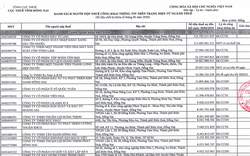 Lần thứ 3 liên tiếp, LDG Group tiếp tục ‘đội sổ’ danh sách nợ thuế tại Đồng Nai