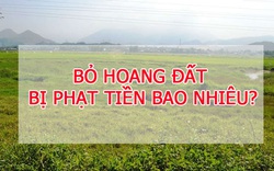 Bỏ hoang đất bị phạt tiền bao nhiêu?