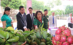 Ảnh: Hàng loạt nông sản sạch Yên Châu trưng bày tại Đại hội Đảng bộ