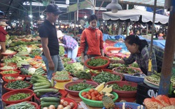 Đà Nẵng: Giá rau, củ, quả tăng cao, nông dân phấn khởi