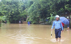 230ha lúa của tỉnh Tuyên Quang bị ngập úng vì mưa lớn