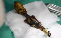 Các nhà khảo cổ "chết lặng" khi tìm thấy xác ướp bí ẩn giống người ngoài hành tinh