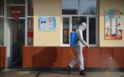 Trung Quốc lại "đau đầu" đối phó với nạn dịch hạch