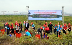 Quảng Ninh: Hỗ trợ 100% chi phí bồi dưỡng, đào tạo khuyến nông
