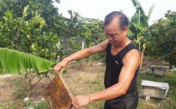 Ông lão 80 tuổi và bí quyết nuôi ong cho mật ngọt