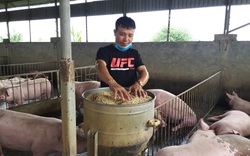 Tỷ phú chăn nuôi lợn ở Phương Đình