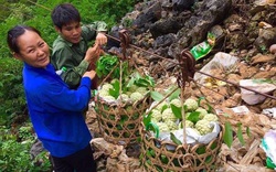 Dịch Covid-19: Lạng Sơn lỡ hẹn Khai mạc hội Na Chi Lăng lần thứ 4