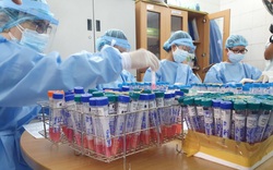 Lịch trình mới nhất của 9 ca nhiễm Covid-19 tại Đà Nẵng