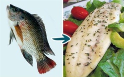 7 loại cá mà bạn nên hạn chế ăn, loại thứ 4 rất nhiều người vẫn ăn thường xuyên