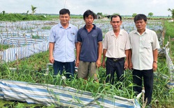 An Giang: Biến ruộng thành "ma trận" bể nuôi lươn, anh vui, chị khoẻ, nhà nhà khá giả