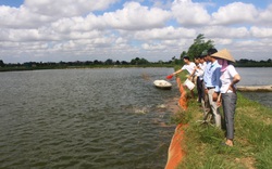 Hải Dương: Dạy nghề + hỗ trợ lập mô hình liên kết, xuất hiện nhiều nông dân giỏi