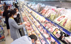 Người dân khó khăn vì Covid-19, siêu thị “đồng loạt” giảm giá thực phẩm