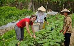 Bộ trưởng Nguyễn Xuân Cường nói về nông nghiệp hữu cơ như thế nào?