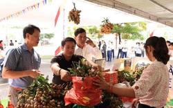 Nhà vườn Lạng Sơn và 7 tỉnh thành giao dịch trực tuyến với 70 DN nhập khẩu nhãn
