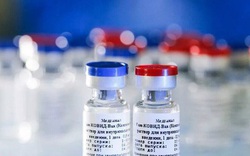 Giá vaccine ngừa Covid-19 xuất khẩu của Nga ít nhất là 10 USD cho 2 liều