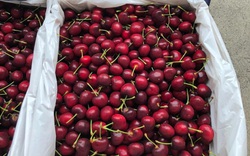 Giá cherry giảm hơn 40%