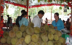 Người Thái tăng mua rau quả Việt 