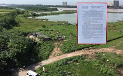 Hà Nội: UBND phường Long Biên cho cá nhân quản lý "giúp" hơn 111 nghìn m2 đất bãi sông Hồng