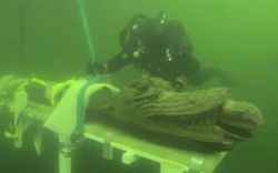 Phát hiện kinh ngạc về xác tàu đắm 'quái vật biển' 500 năm trước vừa được tìm thấy