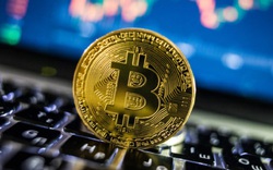 Thị trường tiền ảo 20/8: Bitcoin và các loại tiền kỹ thuật số đều giảm mạnh