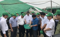 Thanh Hóa: Gần 800 doanh nghiệp nông nghiệp chuyển mình theo hướng công nghệ cao