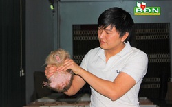 Đắk Nông: "Nhốt" loài thú ham ăn tre nứa ở trong nhà, trai Đắk Nông nuôi không kịp để bán