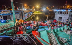 Cảng cá ở Đà Nẵng tấp nập trong những ngày Covid-19