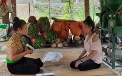 Triển khai mô hình nông nghiệp đảm bảo dinh dưỡng: 
Giải quyết “nạn đói tiềm ẩn”