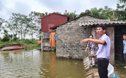 Dưới ruộng lúa thả cá tung tăng bơi lội, trên bờ trồng rau quả, nông dân lãi trăm triệu/vụ