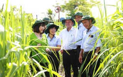 TTC Sugar thành lập Viện Nghiên cứu Ứng dụng Kỹ thuật Nông nghiệp TTC Attapeu
