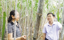 Tuyên Quang: Đột phá xây dựng nông thôn mới từ các mô hình điểm dạy nghề