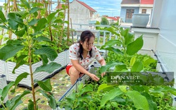 TP. Vinh: Chị em nội trợ đua nhau trồng vườn rau trên sân thượng "vạn người mê"