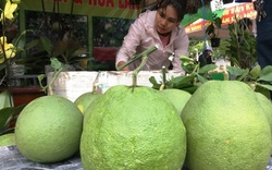 Khánh Hoà: Ảnh hưởng dịch Covid-19, dừng tổ chức phiên chợ nông sản năm 2020