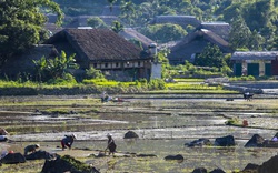 TP Hà Giang  “thay da đổi thịt” nhờ thành công trong xây dựng NTM